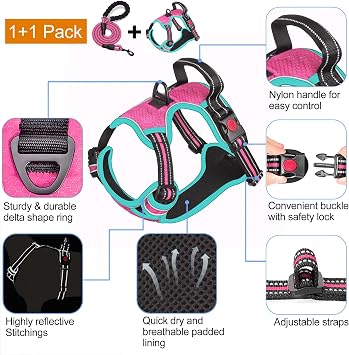 tobeDRI No Pull Dog Harness Adjustable Reflective Oxford Easy Control Medium Large Dog Harness with A Free Heavy Duty 5ft Dog Leash, Pink/Blue, L