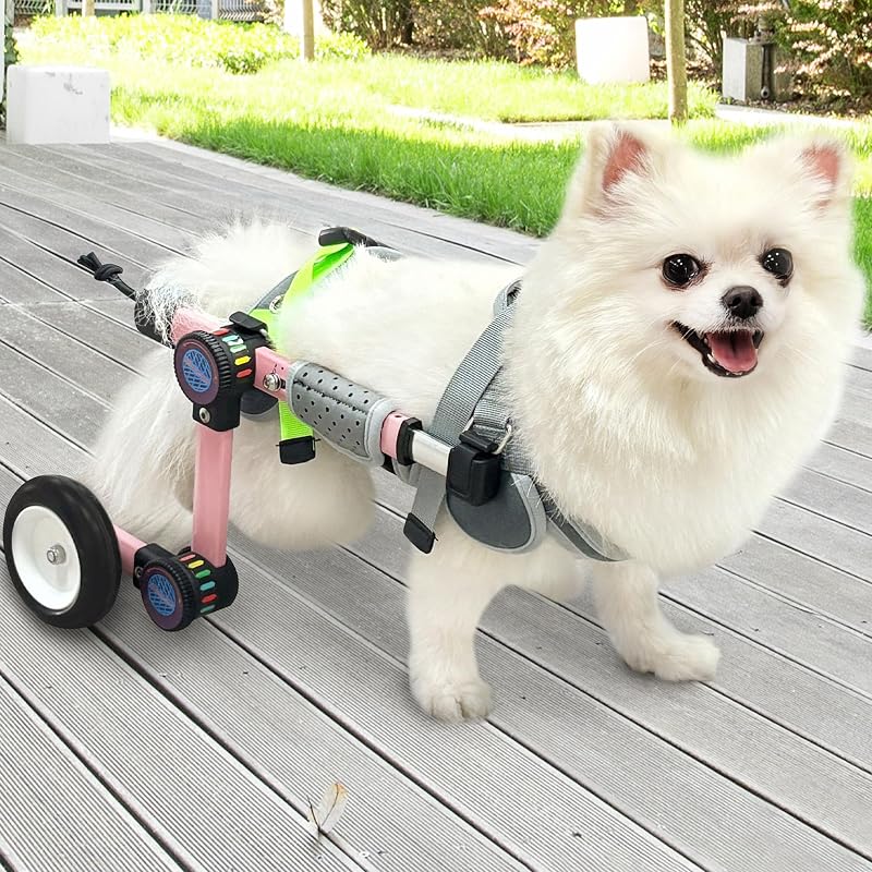Cadeira de Rodas Ajustável para Cães com Suporte às Patas Traseiras LetPetRun