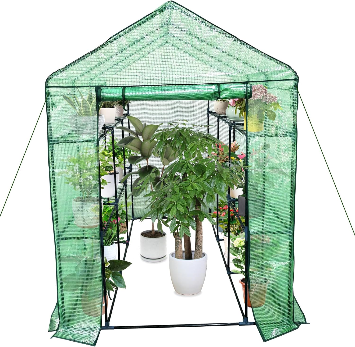 Greenhouse for Outdoors,Walk in 3-Tier 9 Shelves Green House w/Roll-Up Zippered Door Anchors and Ropes,Waterproof & UV Protected Plant Garden Hot House for Garden Patio Backyard,57 x 85 x 76''