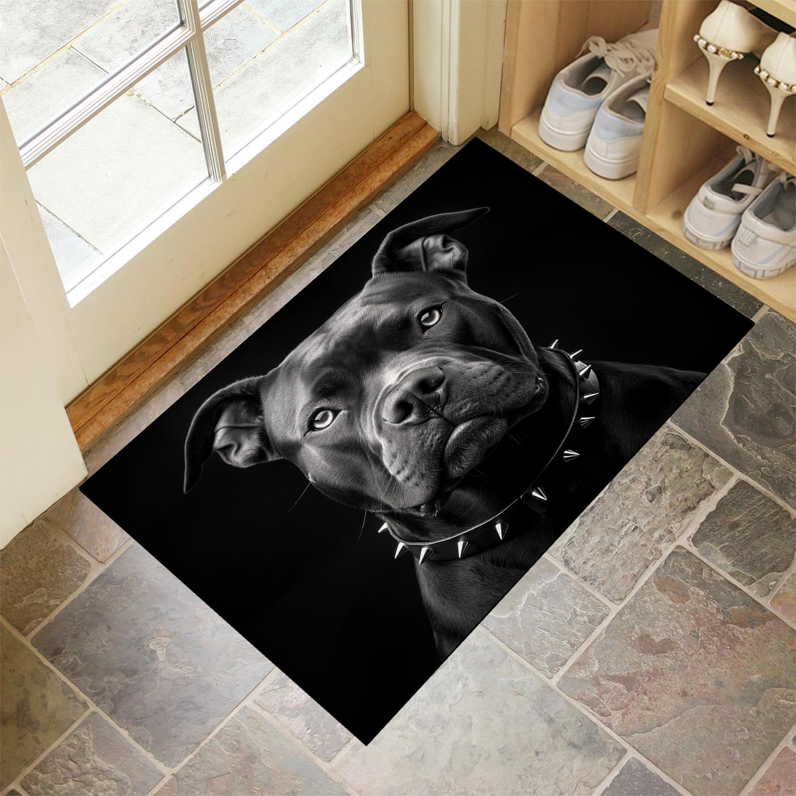 Paillasson intérieur extérieur 40x60 tapis entrée antidérapant