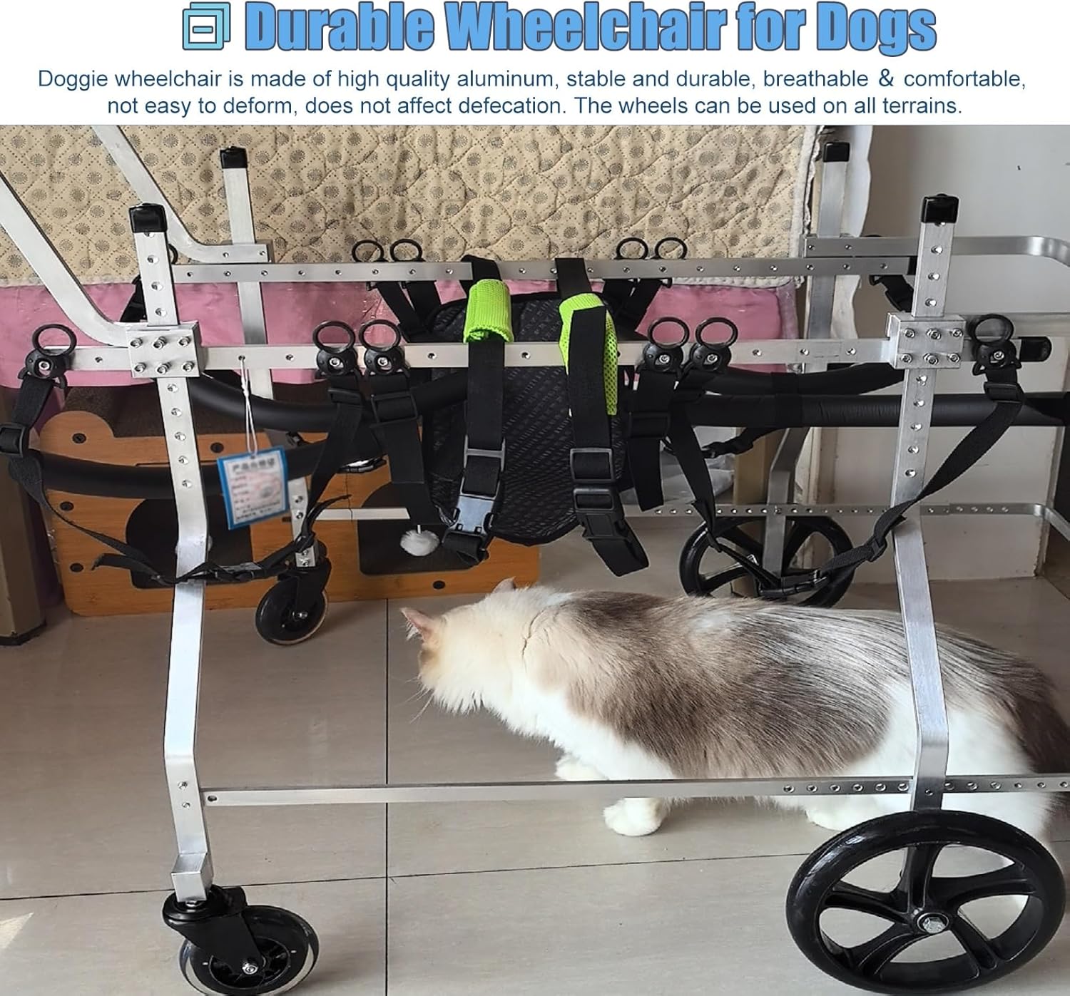 Adjustable Disabled Dog Wheelchairs - Front Back Legs Support Assist, Lightweight Pet Bike Trailer Carts - Extra Large Size