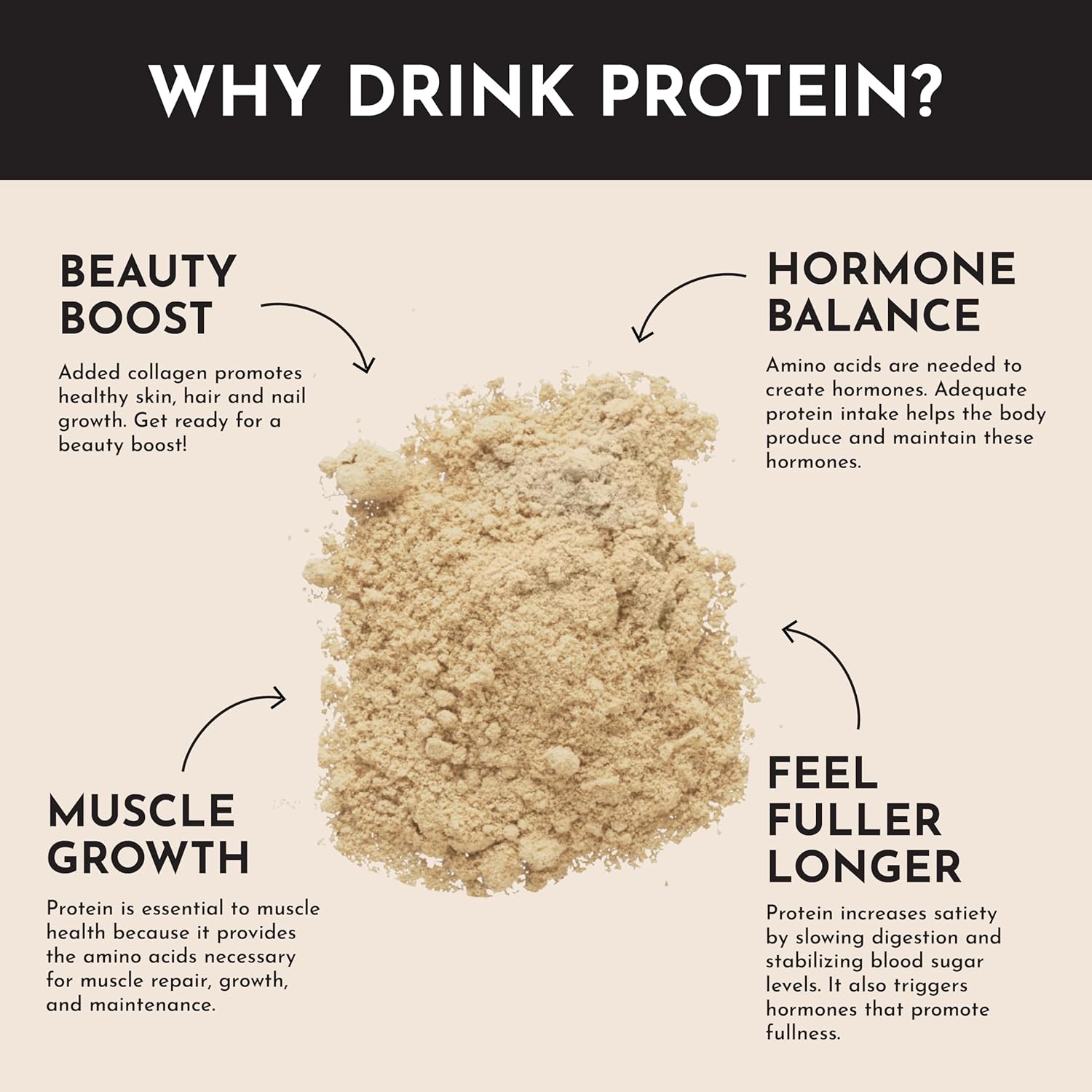 JUST INGREDIENTS Chai Protein Powder – 30-Serving Blend with 100% Grass-Fed Whey & Organic Plant Proteins – Warm Spice Flavor with Cinnamon, Ginger & Cardamom – Supports Muscle Recovery, Energy* - Image 7