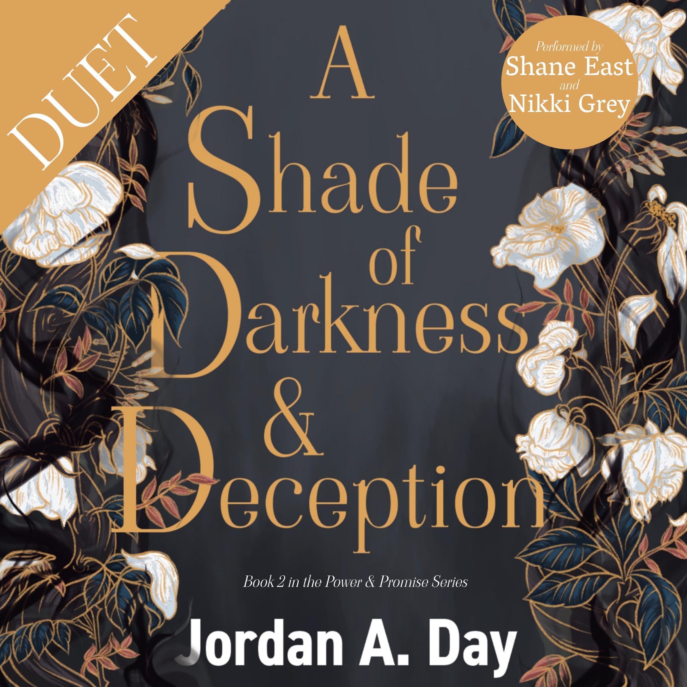 Cover art for A Shade of Darkness and Deception