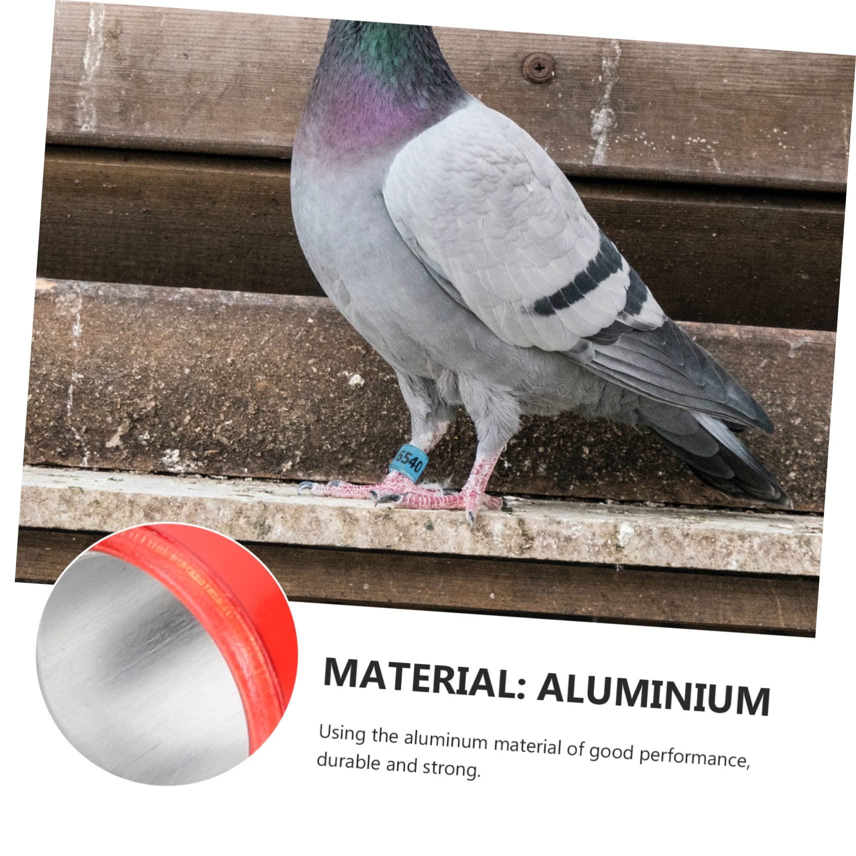 BESPORTBLE 400piezas Anillos De Identificación Abiertos De para Aves para Periquitos y Pájaros
