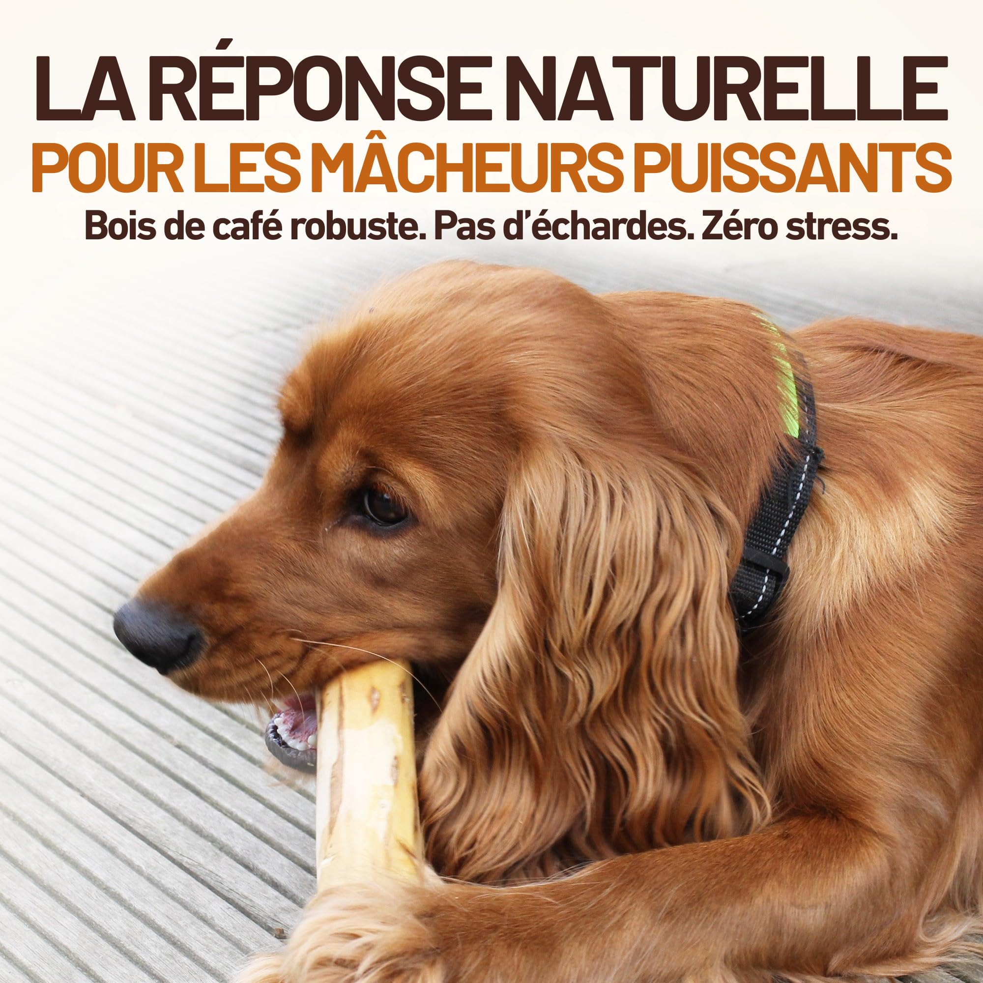 Wildfang® Bois de Café Naturel pour Chien, M – Jouets à Mâcher Robustes pour Mâcheurs Agressifs, Jouets de Dentition pour Chiot, Entraînement des Muscles de Mastication, Chiens de 15 à 25 kg, lot de 3