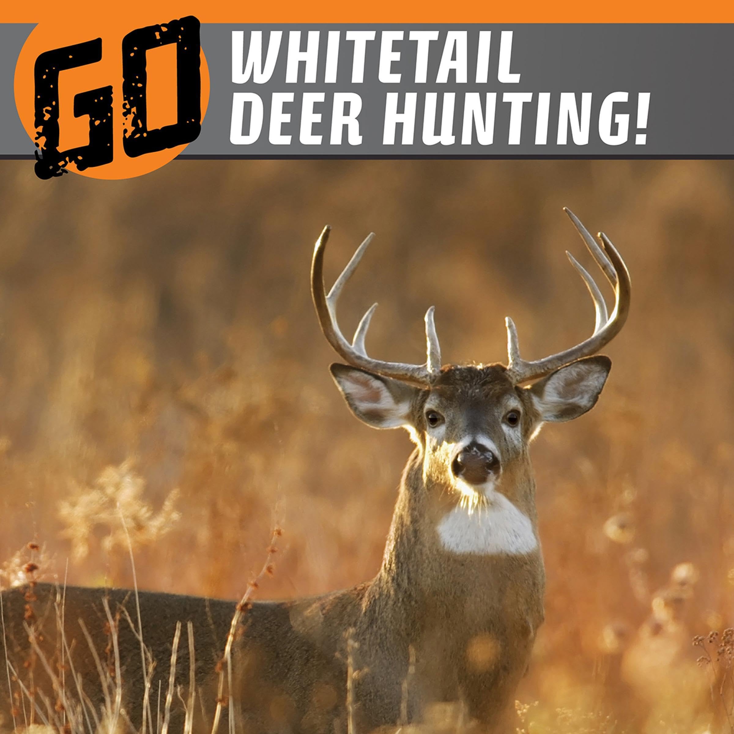 Go Whitetail Deer Hunting!