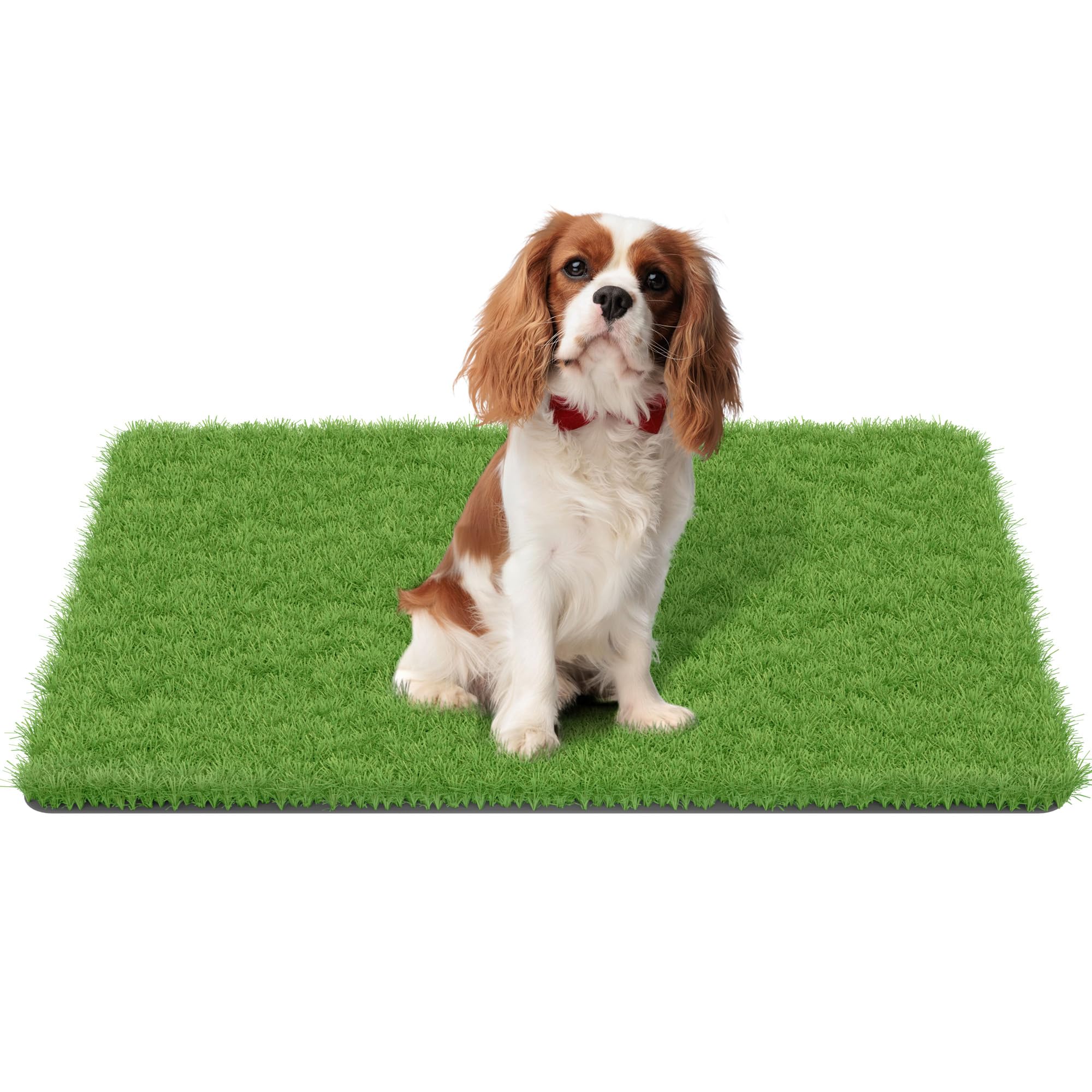 MAYSHINE Fake Grass for Dogs, Artificial Turf Grass Indoor Outdoor, Mat for Dogs Soft Blades, Cesped Artificial for Patios, Dog Astro Turf for Balcony, Quick Clean, Easy Rinse Patio Rug, 35"x24"