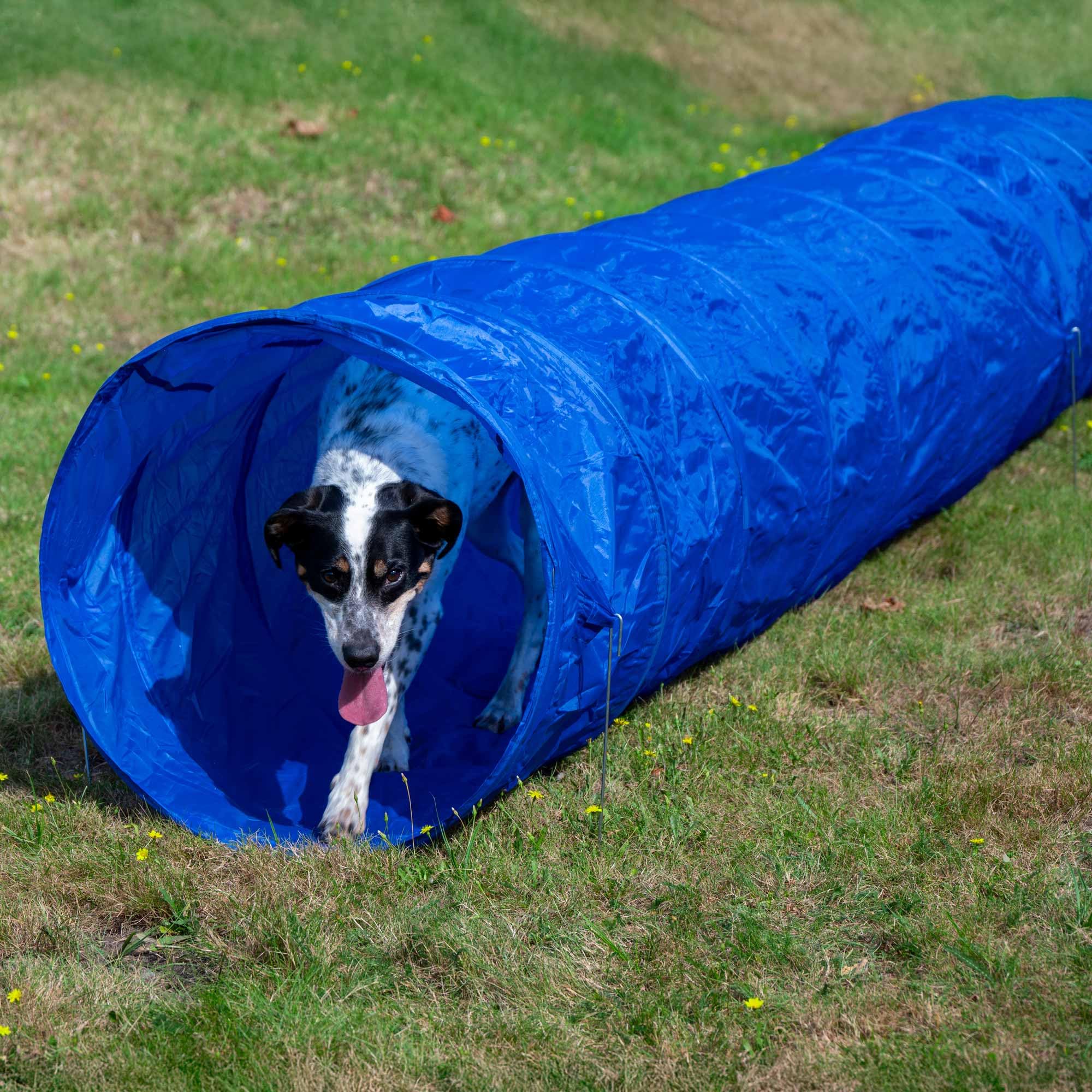 Agility Tunnel