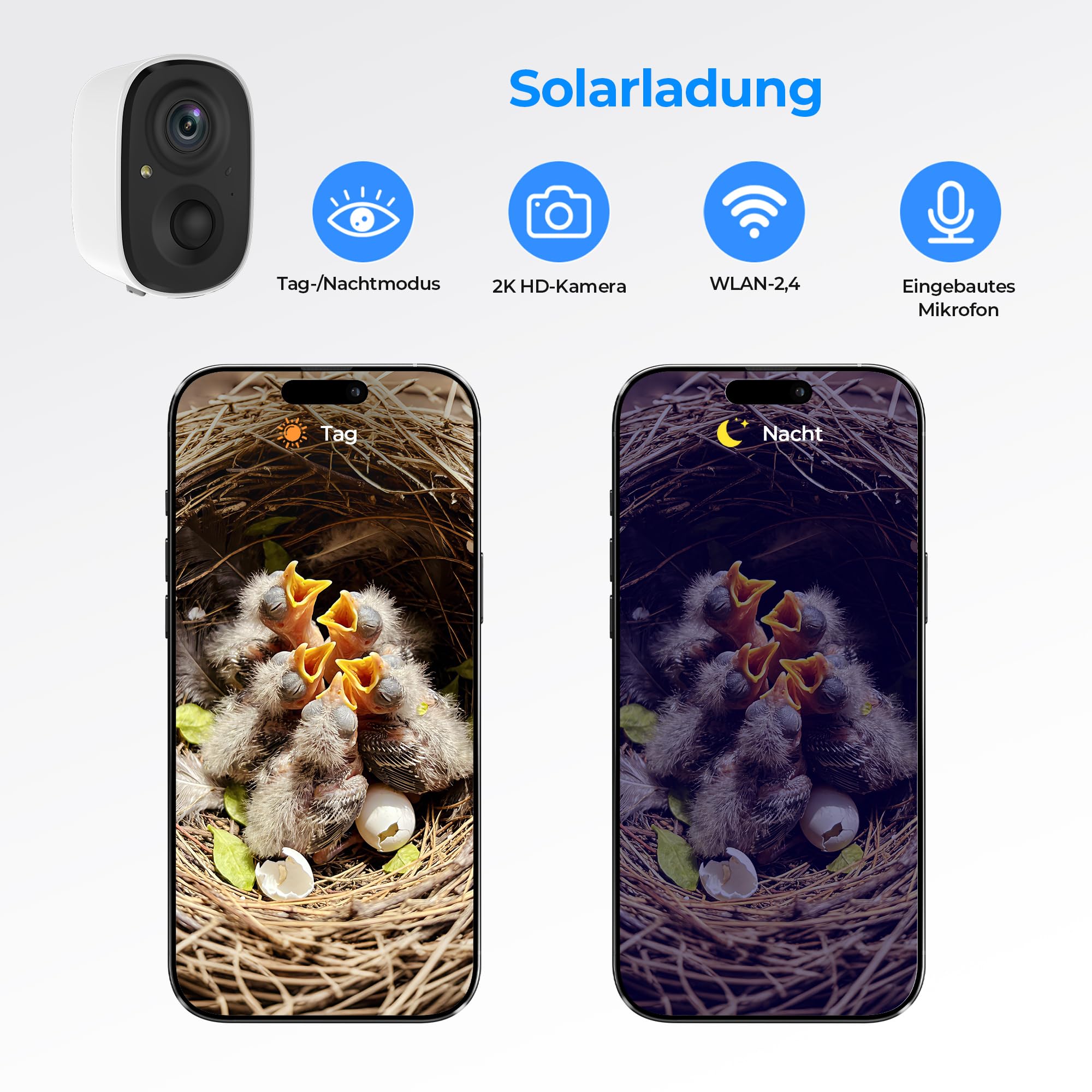 Vogelhaus mit Kamera - 400W Pixel Nistkasten mit Kamera zur Echtzeit-Beobachtung des Nestbau- und Brutprozesses, IP65 wasserdicht & DIY Bausatz