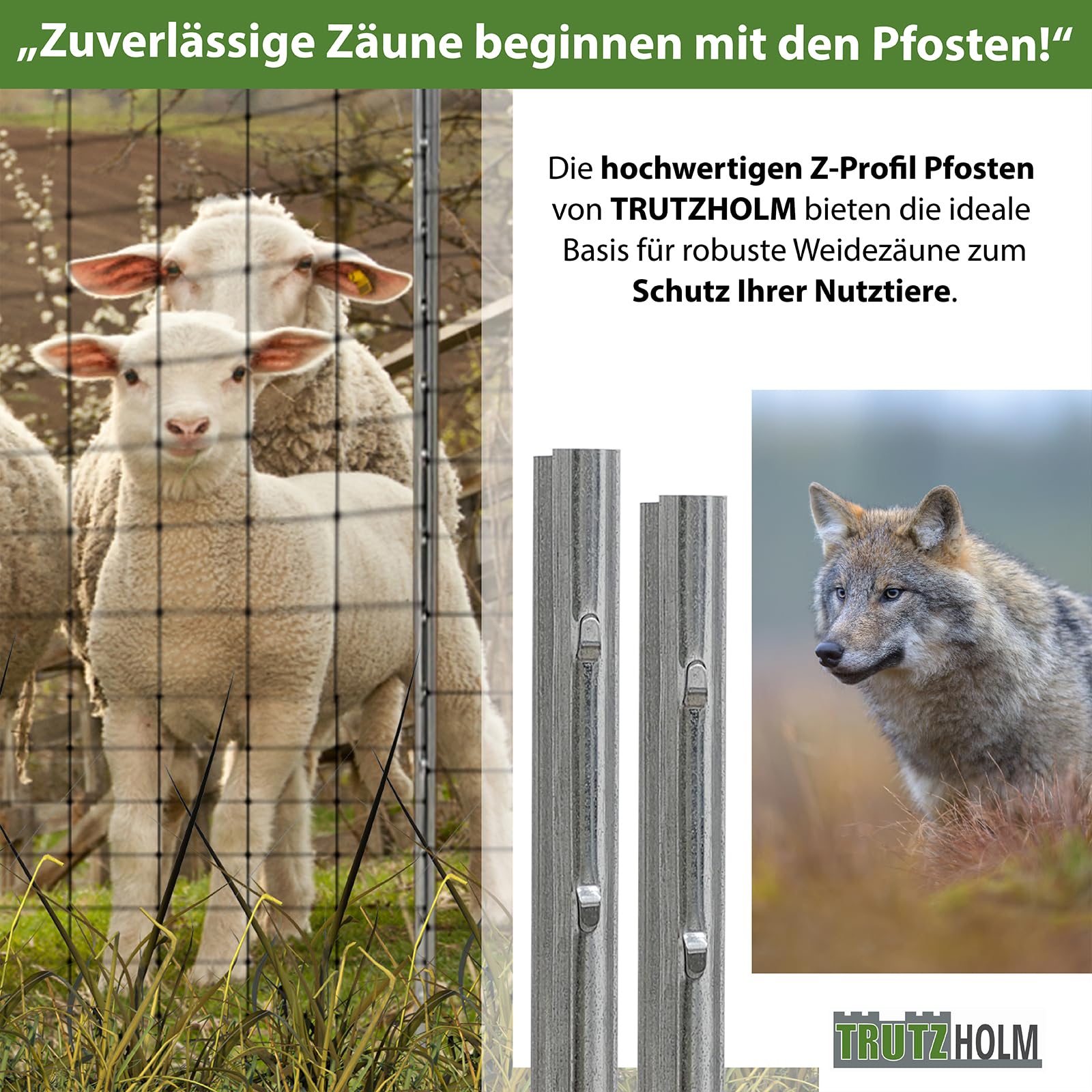 TRUTZHOLM 10x Z-Profil Zaunpfosten 230 cm feuerverzinkt Zaunpfähle 1,5 mm Stärke gestanzte Haken Forstprofil