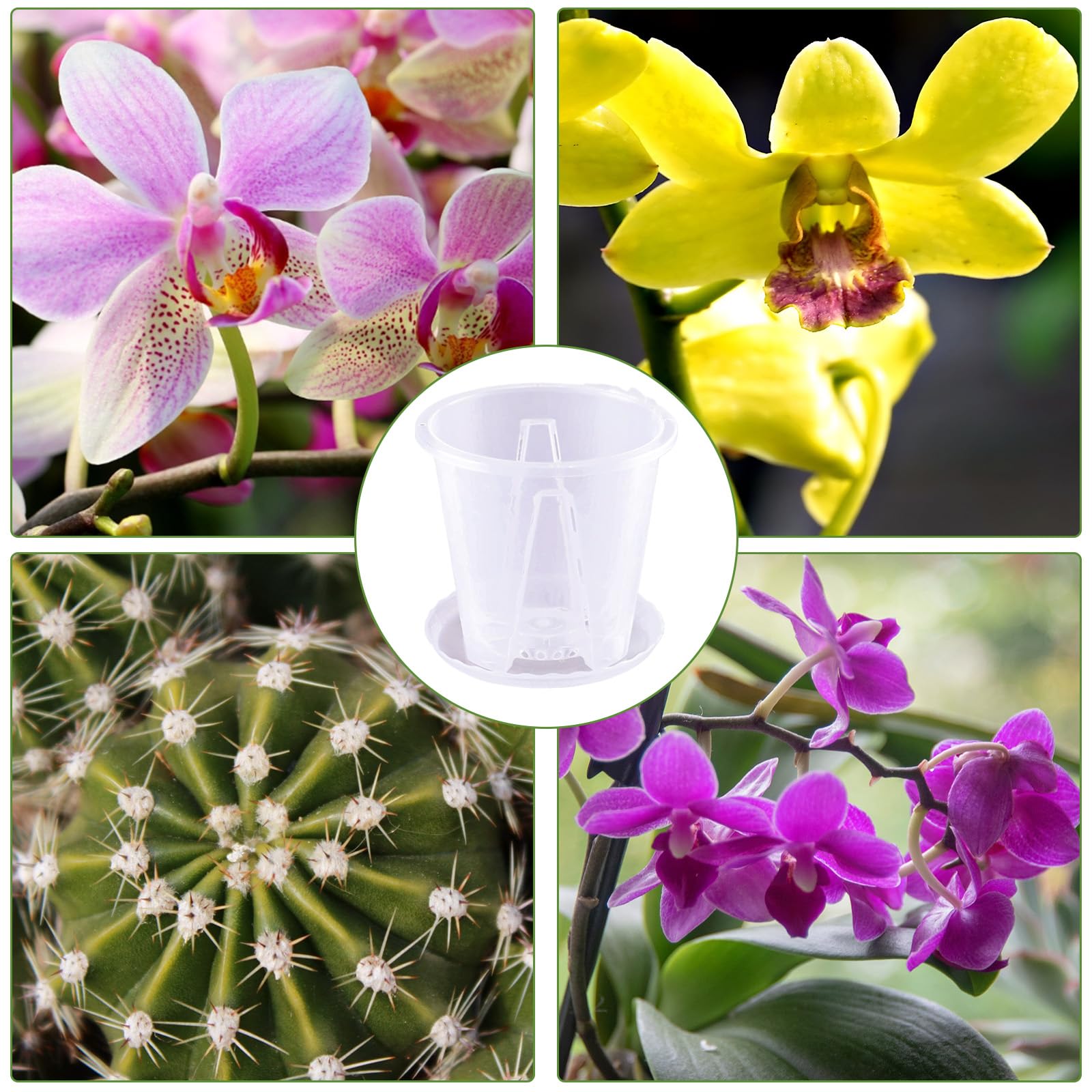Lot de 6 pots à orchidée transparents avec trous de drainage (12, 12 pouces)