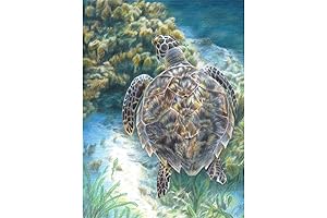 Royal Brush Color Pencil by Number Kit: Unveil the Vibrant Canvas of Your Inner Artist