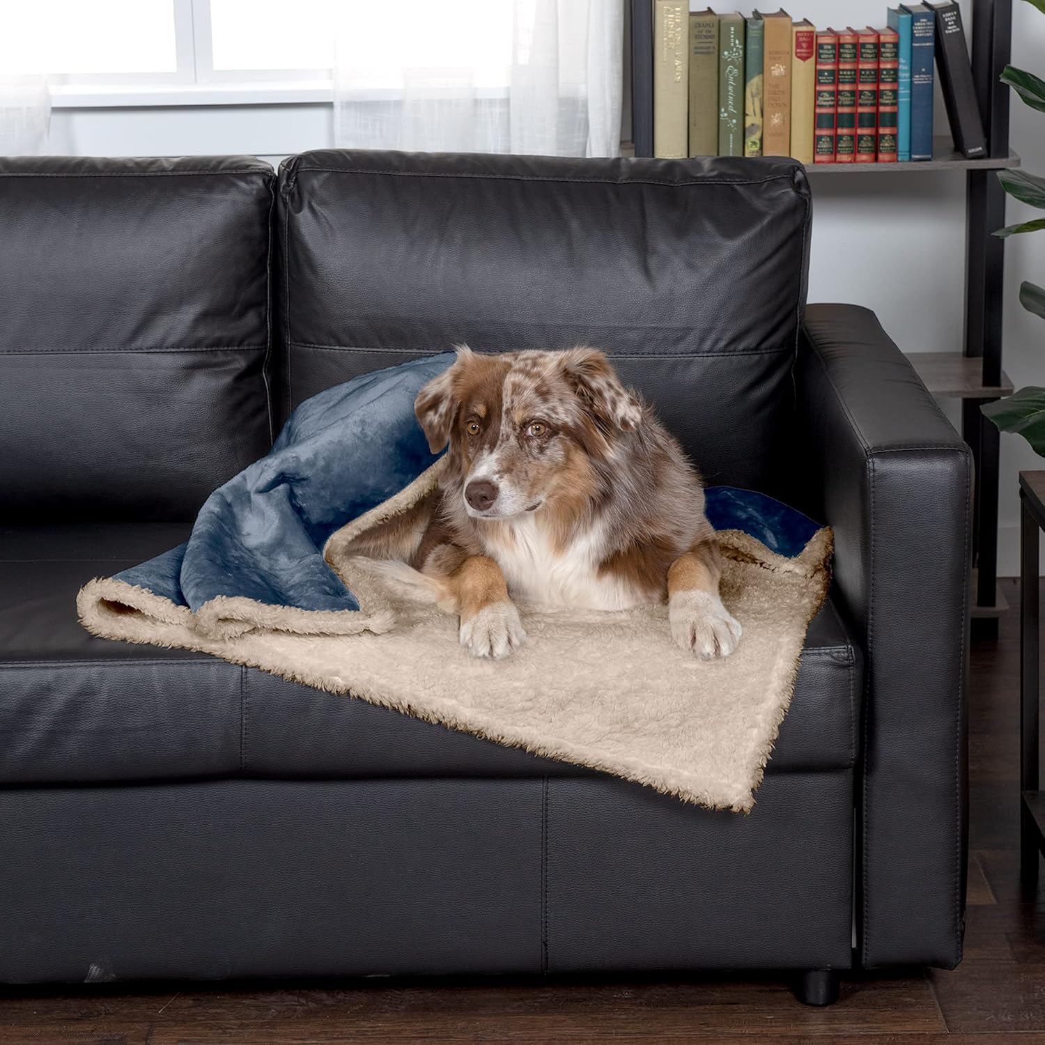 review Furhaven Waterproof & Self-Warming Throw Blanket for Dogs & Indoor Cats, Washable & Reflects Body Heat - Soft-Edged Terry & Sherpa Dog Blanket - Cozy Denim, Large