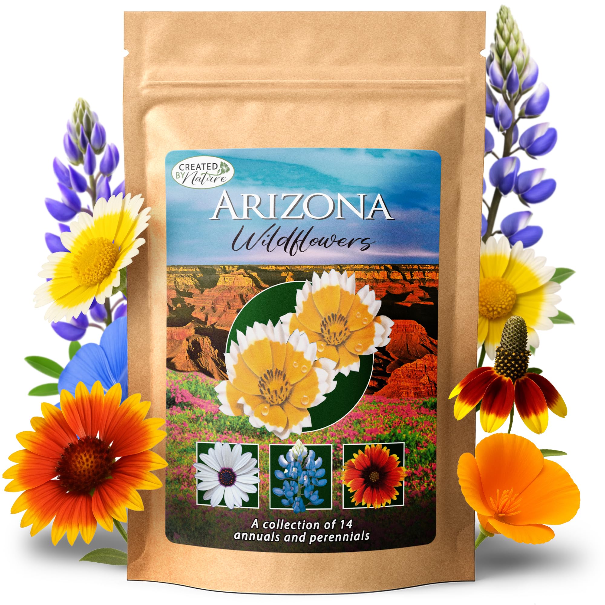 Amazon.com : Created By Nature Arizona Wildflower Seed Mix with