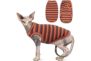 Adorable and Breathable Cat Sweaters for Hairless Cats