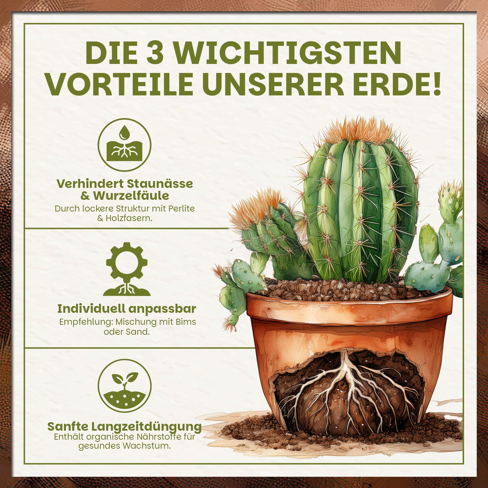 Green Home Kakteen & Sukkulenten Erde 72L mit Perlit. PH-Wert 5,8. Langzeitgedüngt, ideal als Kakteenerde, Sukkulentenerde & Kaktuserde. Substrat für Exoten in Premium Qualität