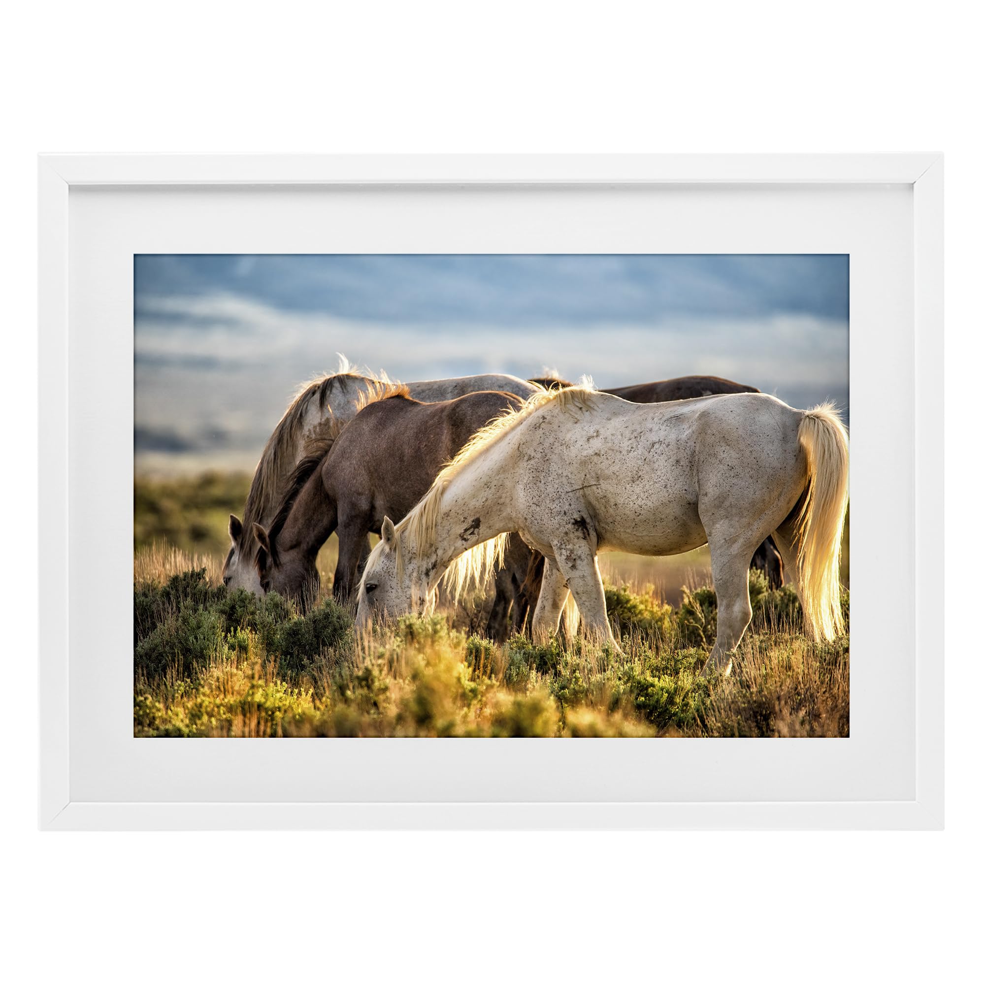 Stupell Industries 'Equine Evening Graze', Framed Print Under Glass, White, 20 x 14 Inches, Easy to Hang and Sturdy, Made in USA, by Tim West