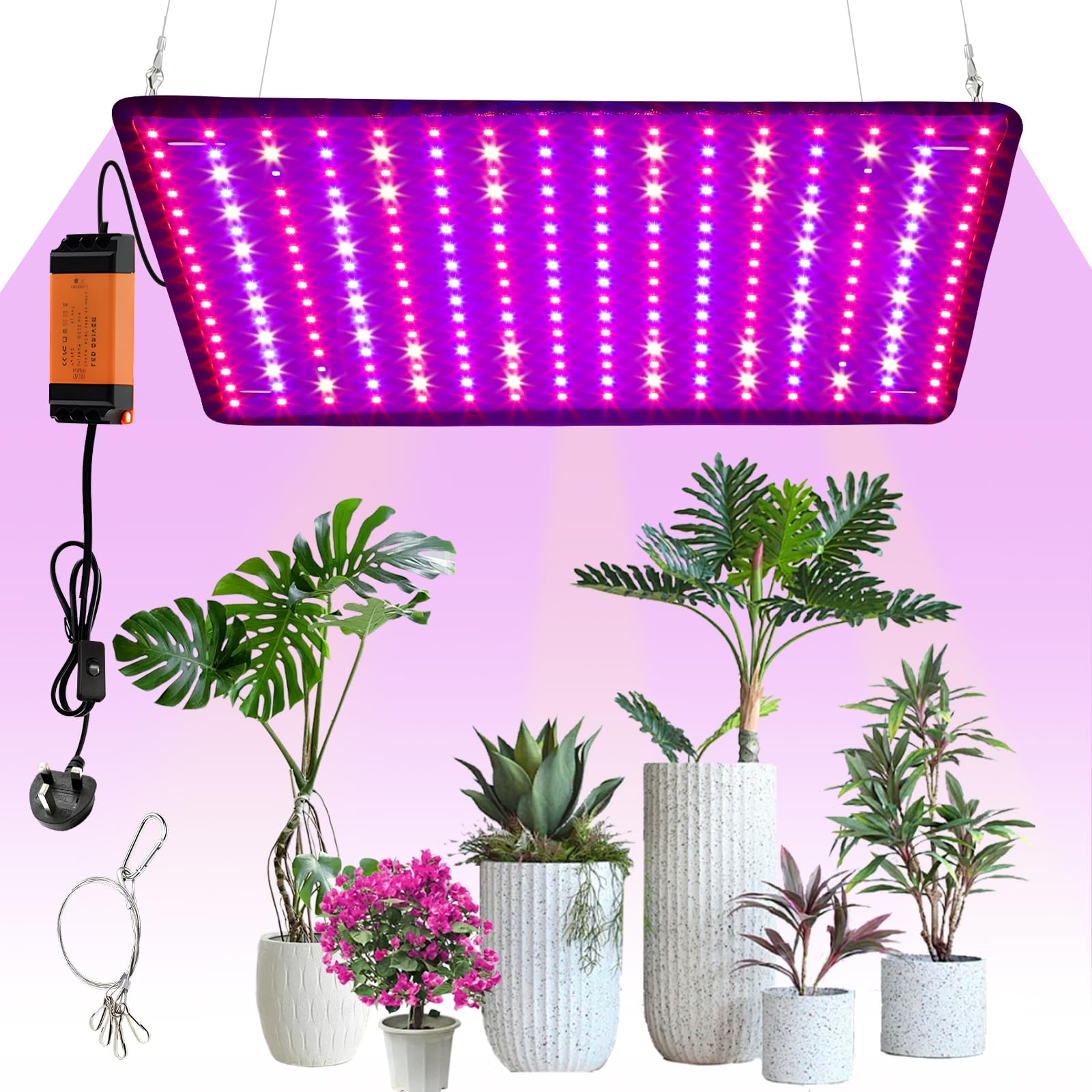 Neulriscn LED Grow Light, 1000W Full Review – Best Budget Option?