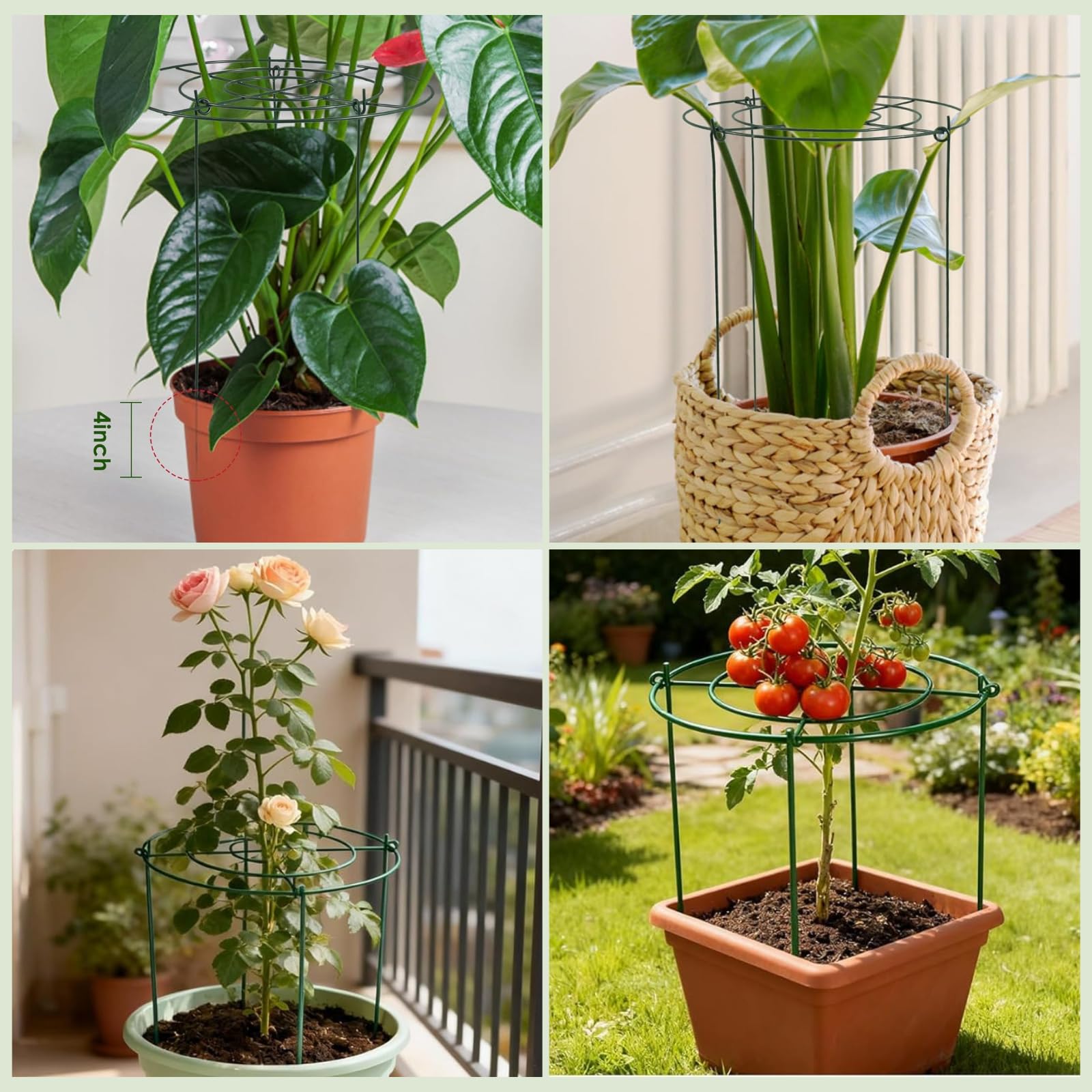 Lancisism Pfingstrosen-Käfige und Stützen – robuste Pflanzenstütze aus Metall für Outdoor-Pflanzen – Pflanzenstützrahmen für Rose, Tomaten, Hortensien, Salbei, Erdbeere, 30,5 cm D x 40,6 cm H, 8 Stück