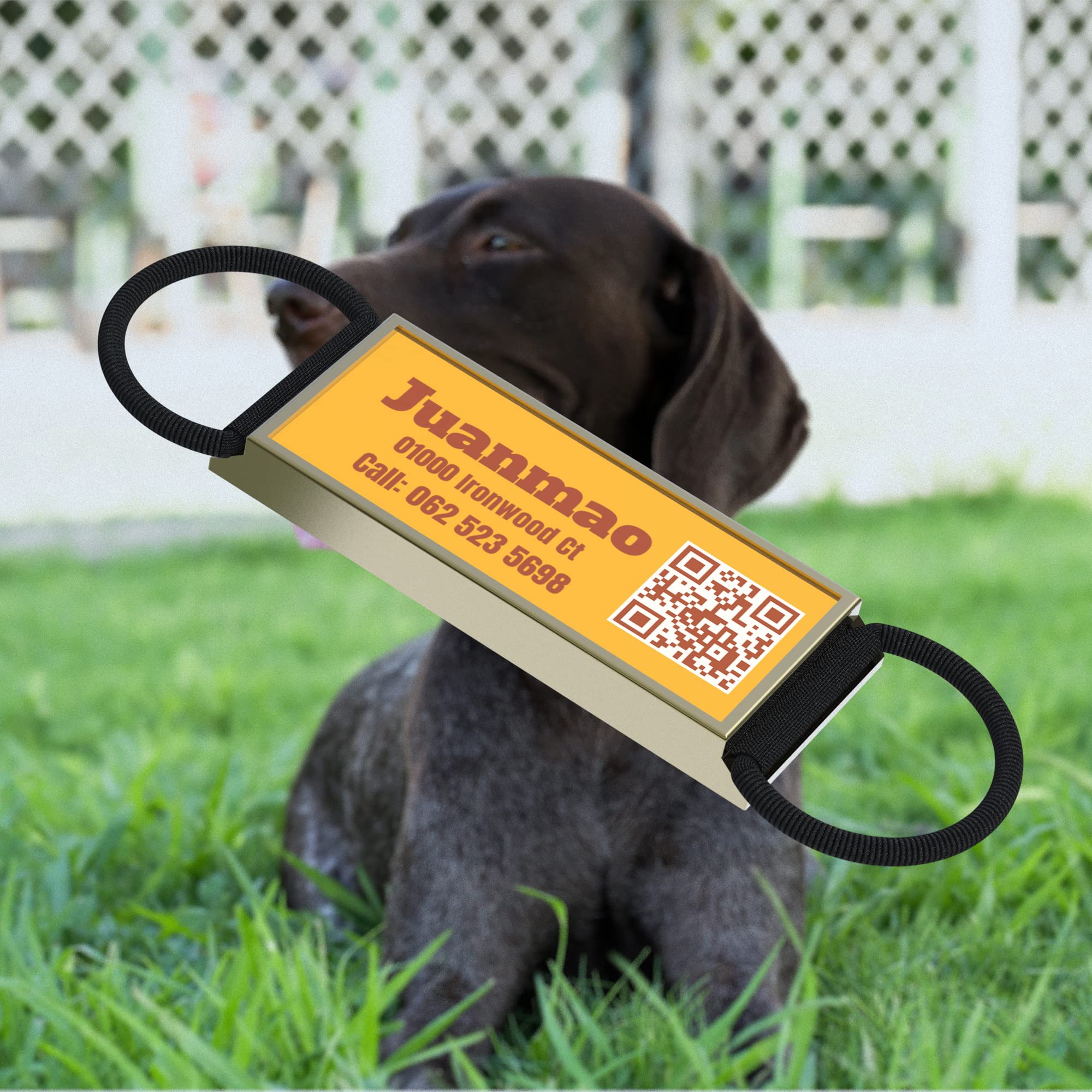 KEKID QR Code Slide On Dog Tag, Personalized Dog ID Tags, Custom Dog Name Tags, Silent Noiseless Dog Tag - Free Online & Scan QR Receive Instant Location Alert Email