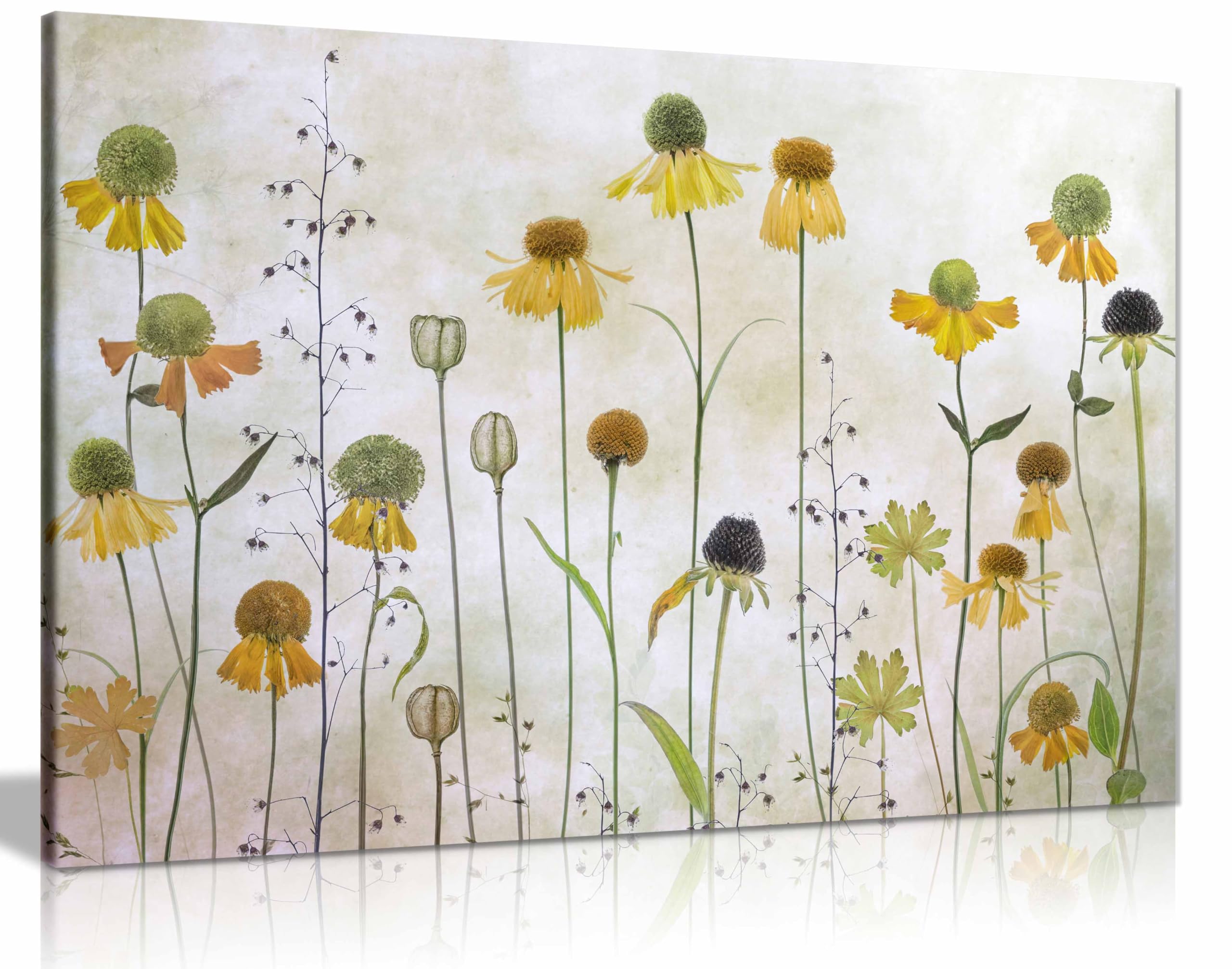 Panther Print Framed Canvas Helenium Canvas Print, Framed Wall Art Pictures For Home Decor 61X41cm (24X16in)