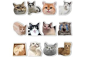 12Pcs Cute and Humorous Cat Tail Feline Memes Refrigerator Magnets