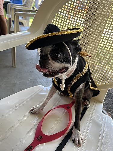 Miniatura 3 de Mariachi girl dog costume (S)