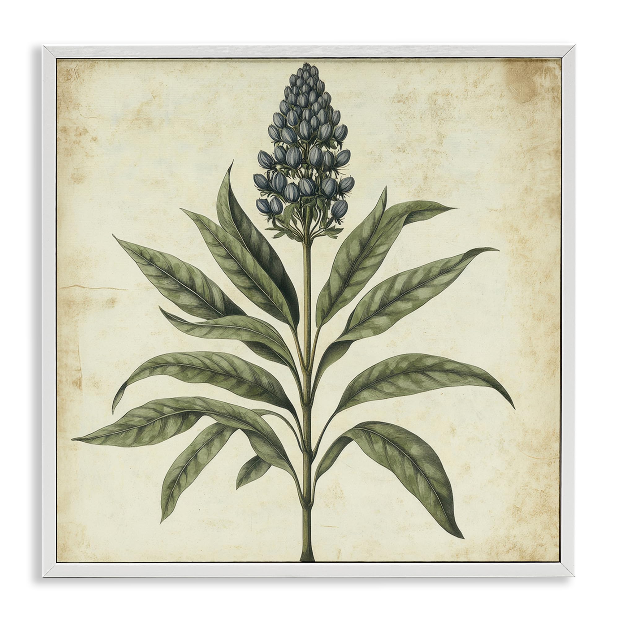 Illustration botanique bleue vintage cadre blanc tableau Stupell Industries 43cm