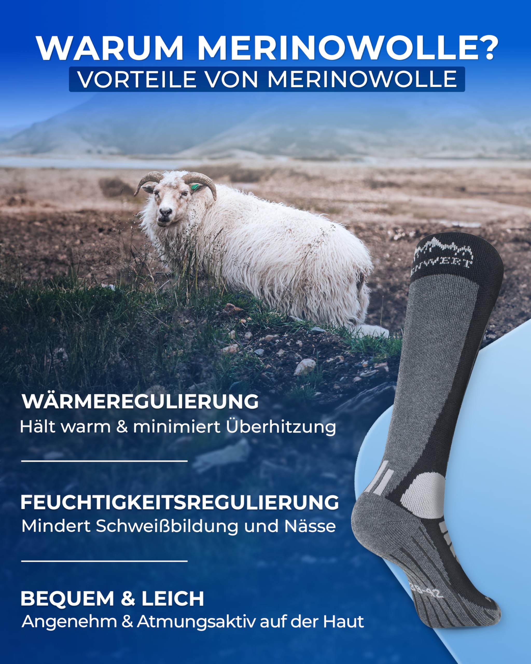 Alpenwert MERINO Calze da sci [2 PAAR] per uomo, donna e bambino, 35-38, 39-42, 43-46 calde, calze da sci invernali