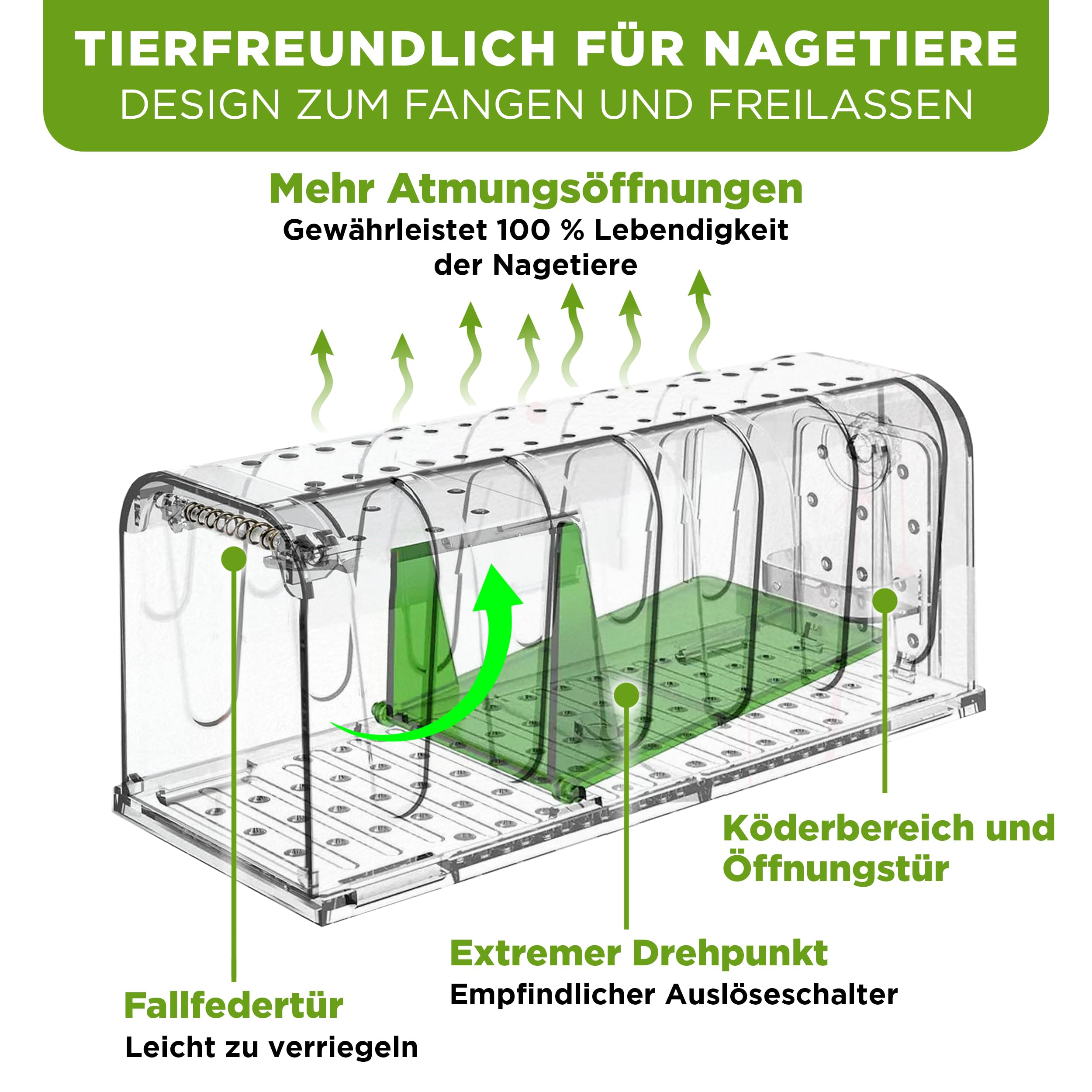 ISOTRONIC Mausefalle Lebend mit Köderbox – tierfreundliche Lebendfalle für Mäuse, Ratten & andere Nagetiere – Wiederverwendbare Rattenfalle mit berührungsloser Freigabe & extra Luftlöchern (1 Stück)