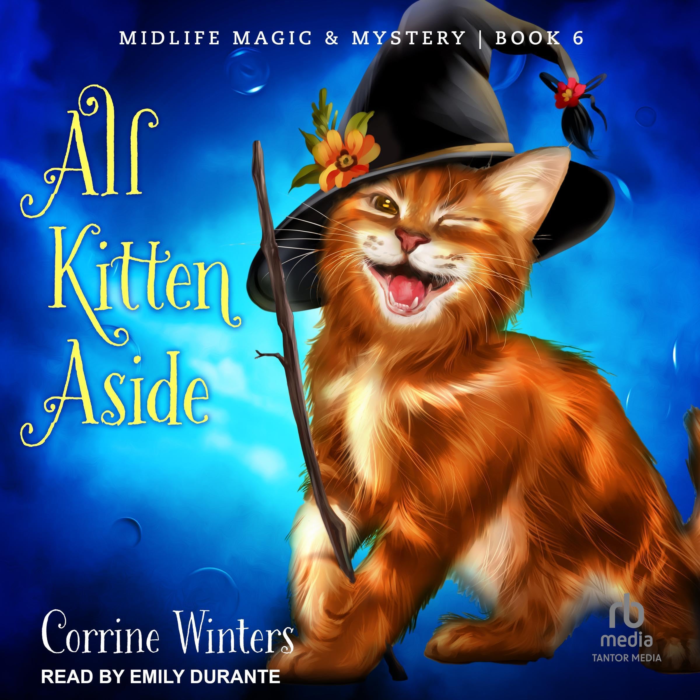 Cover art for All Kitten Aside