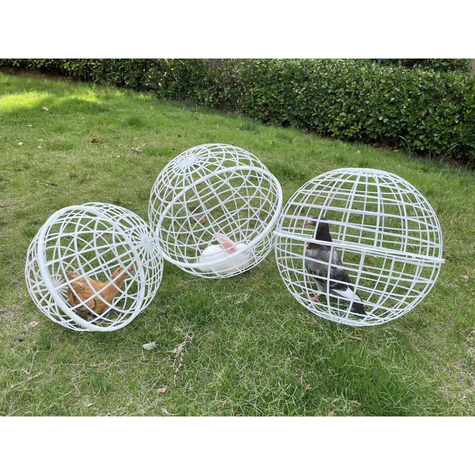 Gallinero, Gallinero De Plástico Al Aire Libre Conejera, Gallinero Circular De Plástico Rodante, Gallinero Esférico para Conejos, Gallinero para Caminar(Quantity 1)