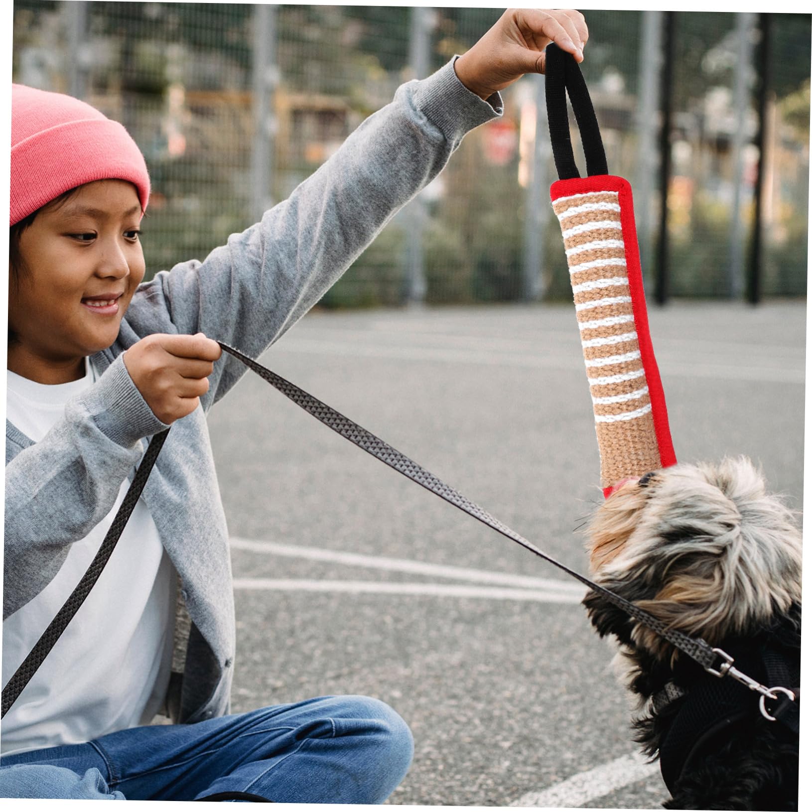 BESPORTBLE 5stücke Hundespielzeug Kauspielzeug Für Hunde Interaktives Kissen Für Training Und Spiel Strapazierfähiges Sicheres Bisskissen Für Große Hunde Beschäftigungsspielzeug Gegen