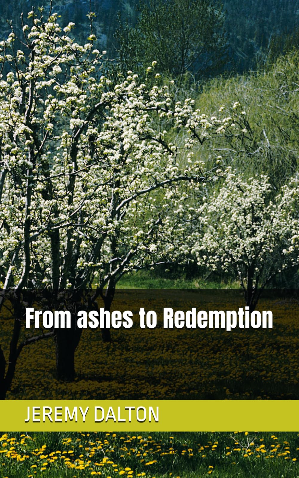From ashes to Redemption