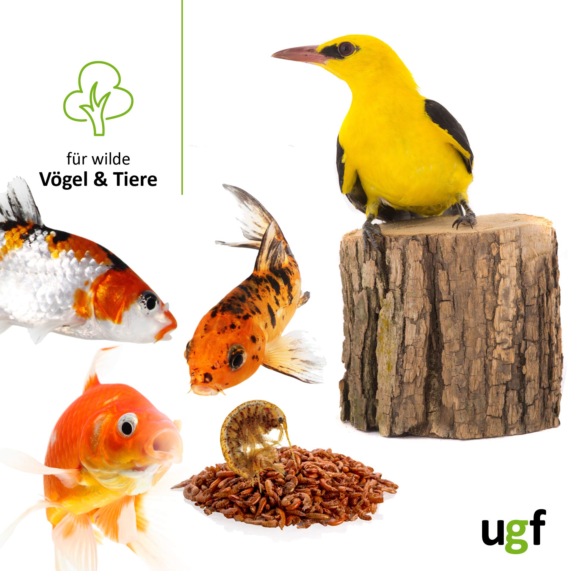 UGF - Camarones Gammarus Premium Deshidratados de Agua Dulce - 318 g en un Cubo de 3 litros, Alimento para Tortugas, Peces de Acuario, Ajolotes, Hámsteres, Erizos, Carpas Koi y Ratas — view 3