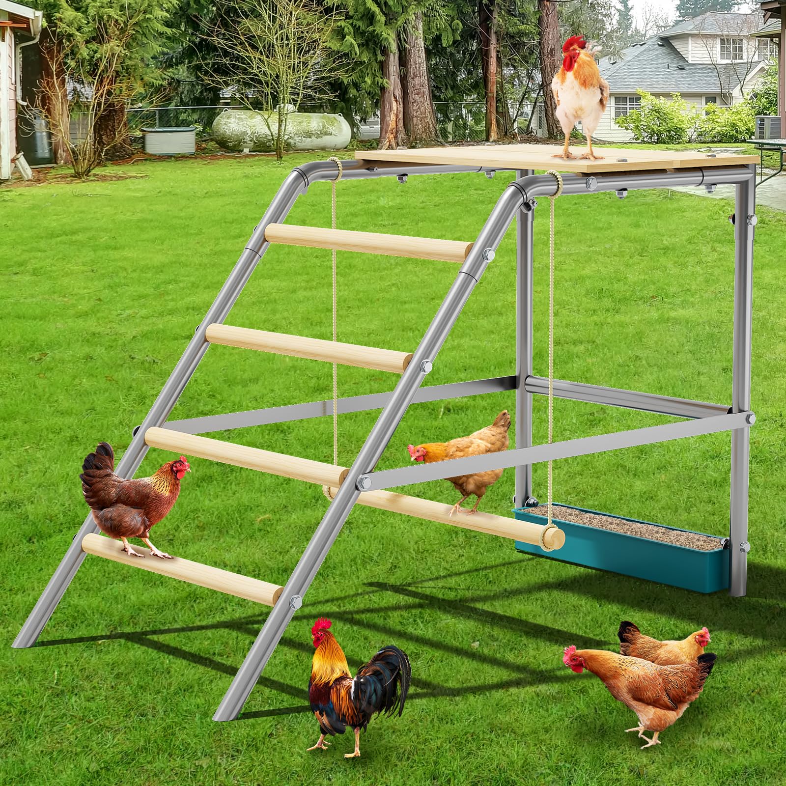 Robusti Trespoli Per Polli e Trespolo a Scala Per Pollaio: Facili Da Montare e Pulire, Robusti Accessori Per Pollame Da Cortile Per Polli, Anatre, Oche e Piccioni