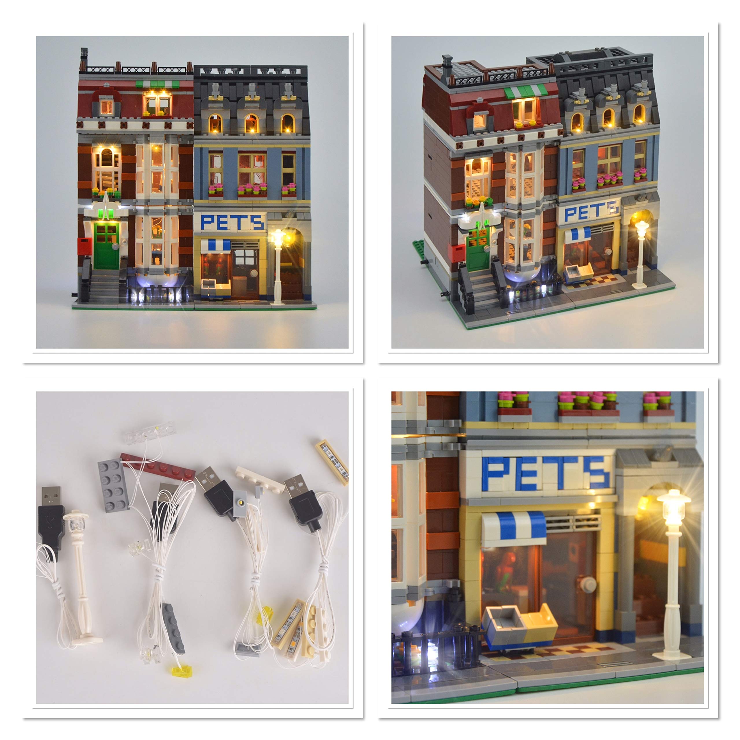 Butterfly Designs UK LED Light Kit for Creator 10218 Pet Shop Lighting USB **Does Not Include Model**