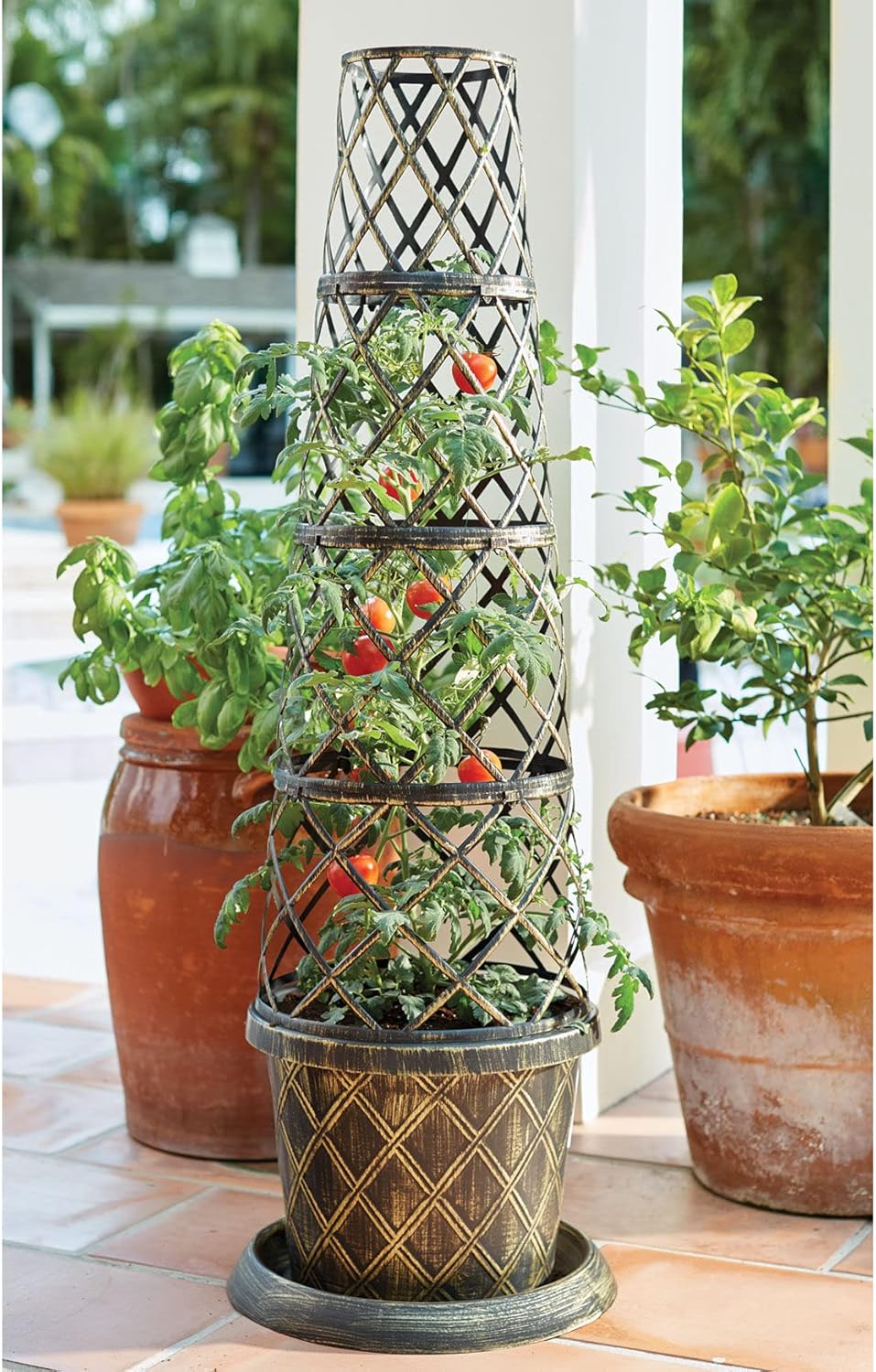 BrylaneHome Tomato Cone-Shaped Planter, Bronze Brown