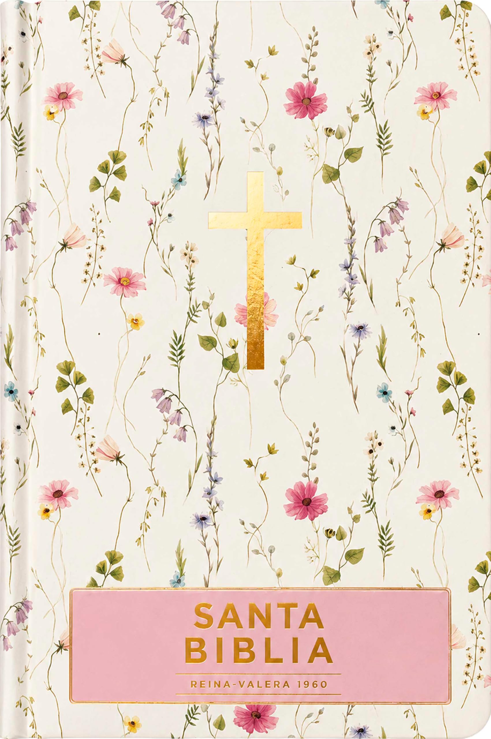 Santa Biblia Reina-Valera 1960 - Visual con mapas mentales (Tapa dura, Floral, Letra Roja)