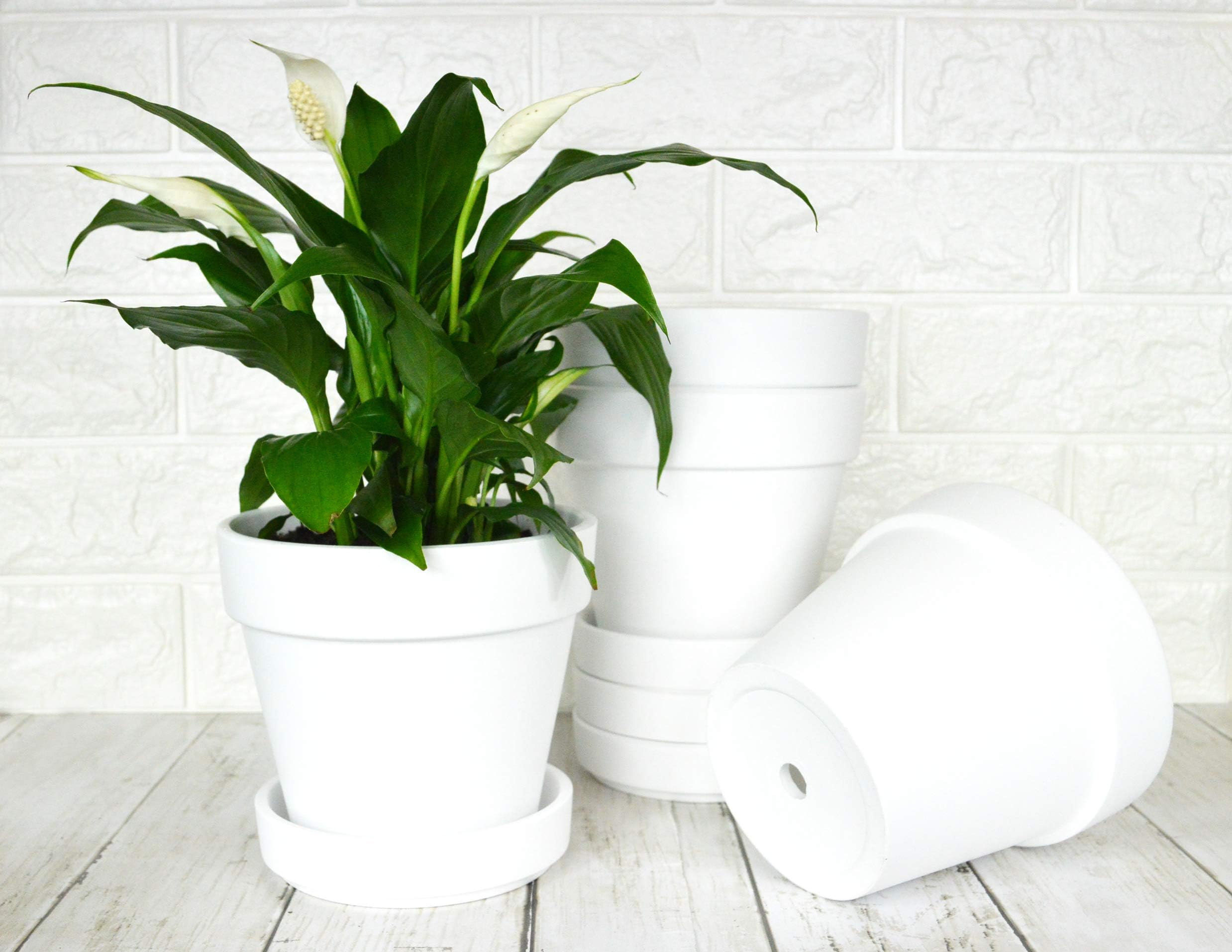 My Urban Crafts 6 Inch White Clay Pots for Plant with Saucers - 4 Pack Large Terra Cotta Plant Pot with Drainage Hole, Flower Pot with Tray, Terracotta Pot for Indoor Outdoor Plants