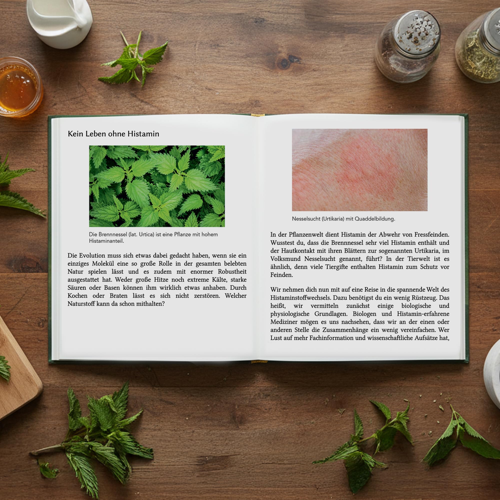 Histamin Buch Bundle von Kyra & Sascha Kauffmann – Der Histamin-Irrtum + Histamin-Irrtum Kochbuch – Lecker essen bei Histaminintoleranz inkl. exklusivem Design-Lesezeichen