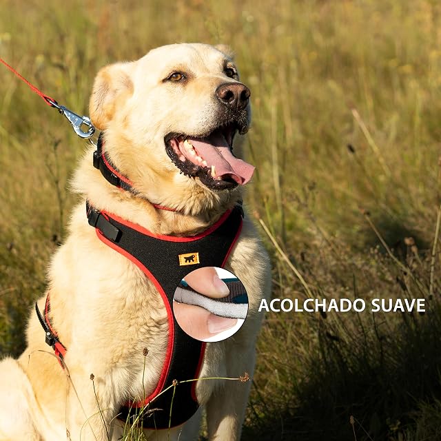 Foto 5 de 6 de Ferplast Arnés para Perros Grandes ERGOCOMFORT, Ajustable, cómodo, Acolchado, de fácil colocación y liberación