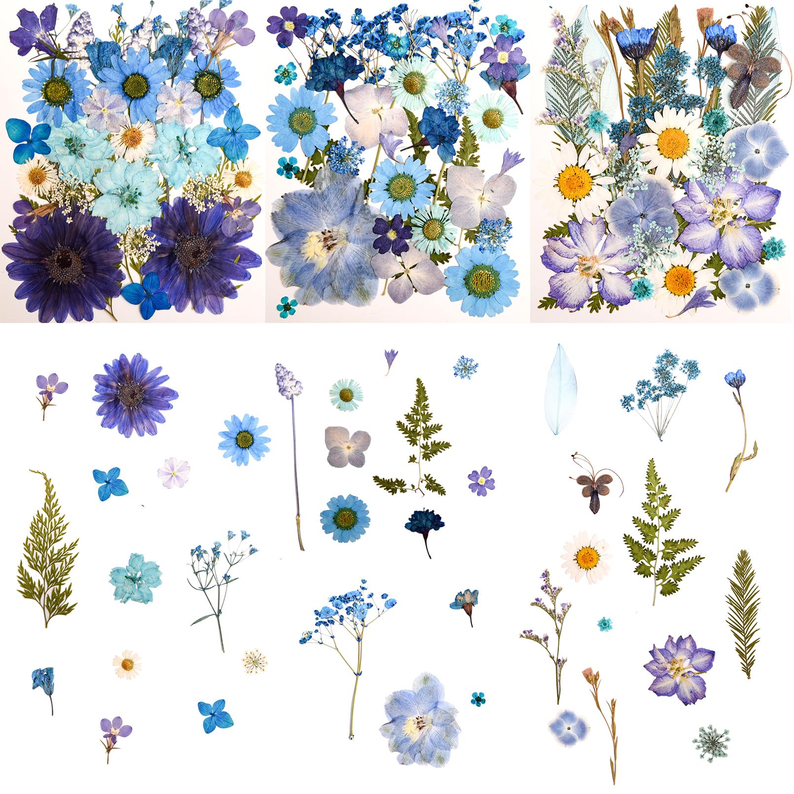 Cokosing 100 PCS Blue Real Pressed Dried Flowers and Leaves - dried and preserved flora | Mubboo