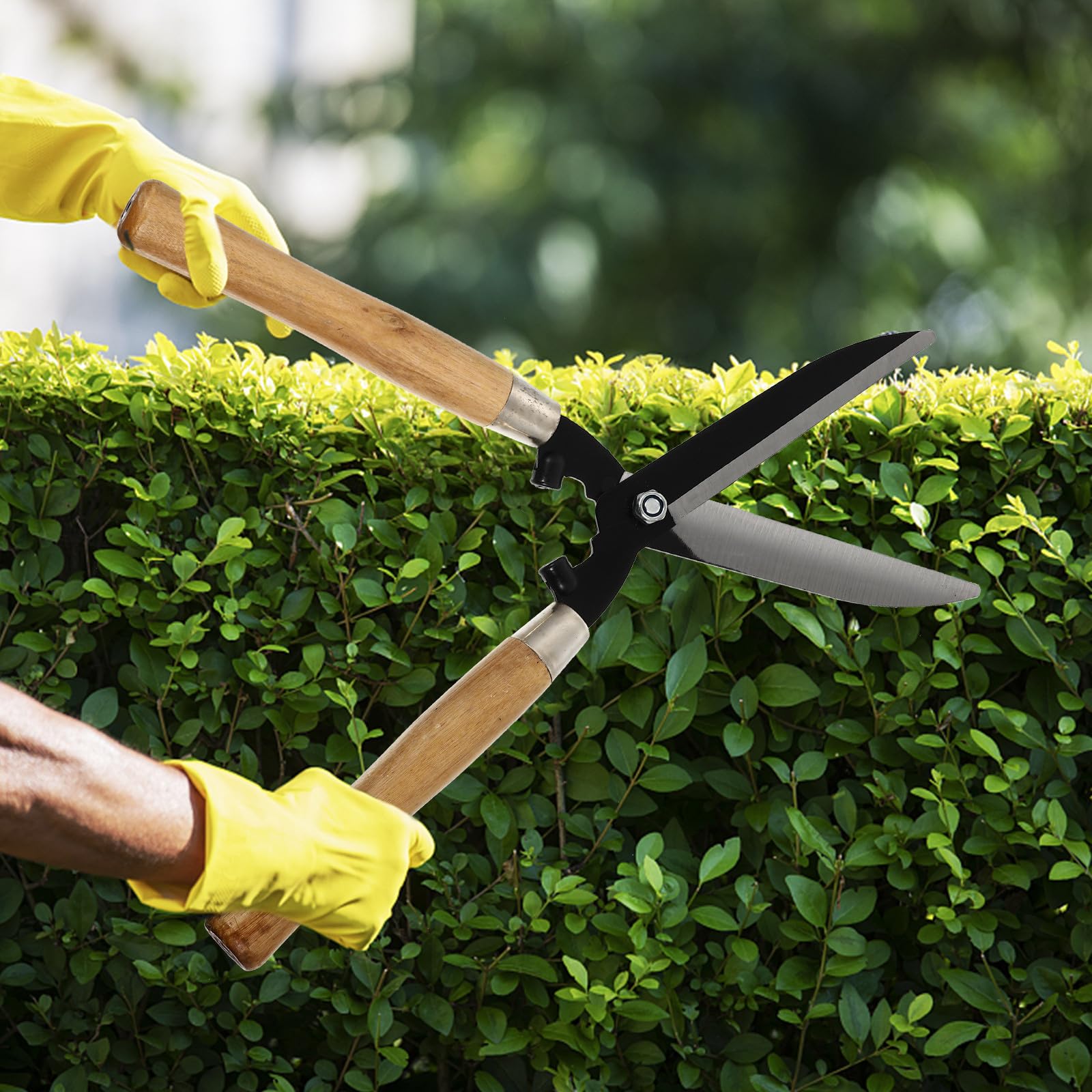 UKCOCO Tijeras de Podar de Jardinería, Tijeras de Césped, Cortasetos de Acero al Carbono Mango de Madera, Laboriosas y Resistentes al Óxido