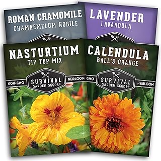 Survival Garden Seeds Edible Flowers Collection Seed Vault - Lavender, Roman Chamomile, Nasturtium, Calendula Seed Packs f...