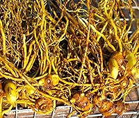 Vista 7 de Herb Pharm Extracto líquido orgánico certificado de sello de oro para apoyo del sistema respiratorio - 4 onzas