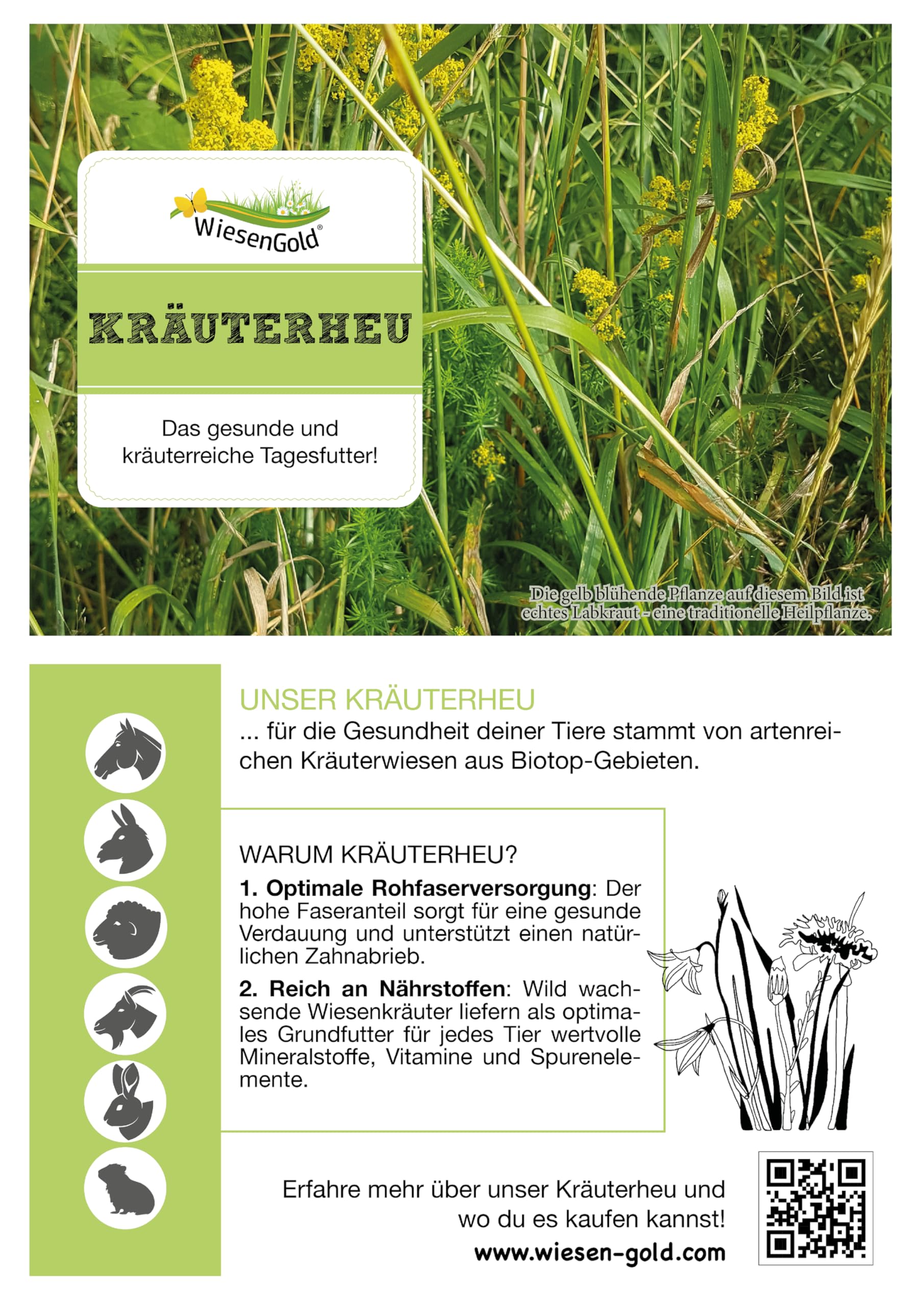 Heucobs Bio, Wiesencobs, WiesenGold® Bio KräuterHeu Pellets/Cobs (20kg) – Premium Pferdefutter, von artenreichen Kräuterwiesen, Melassefrei, ohne Zuckerzusatz, staubfrei, Bio Heupellets, Heu Cobs