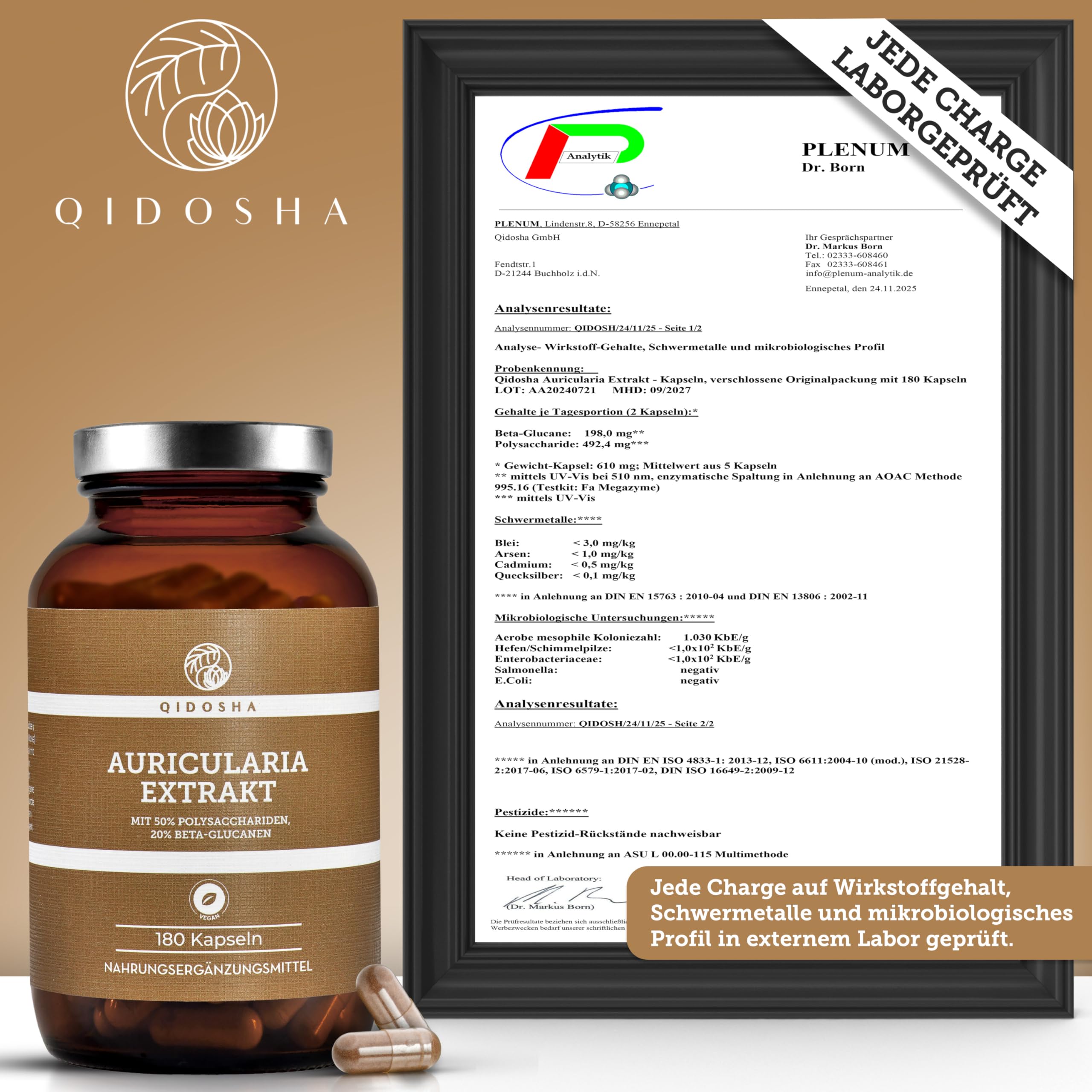 QIDOSHA® Auricularia 40:1 Extrakt Kapseln, 180 Stk im Apothekerglas, hochreiner Auricularia Extrakt mit 500mg je Kapsel, davon 50% Pilz-Polysaccharide, 20% Beta-Glucane, Judasohr Kapseln