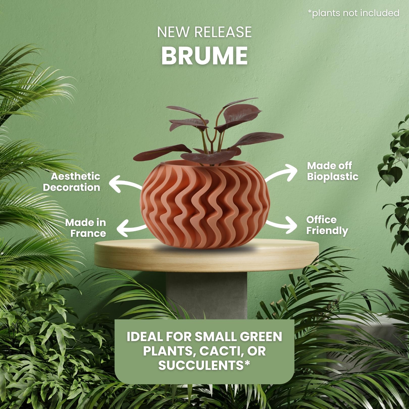Koala Studio Brume, Indoor Decorative Pot for Synthetic Plants Succulents & Cacti - Image 2