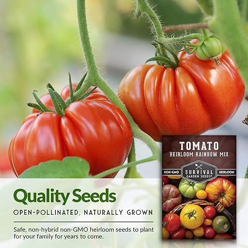 Miniatura 4 de Survival Garden Seeds - Semillas de tomate Heirloom Rainbow Mix para plantar - Paquete con instrucciones para plantar y cultivar en tu huerto casero